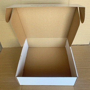 纸箱 (2)